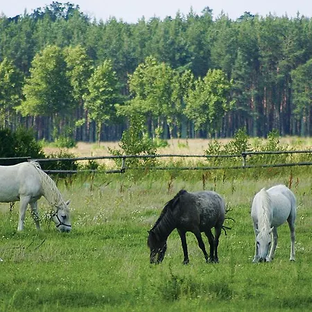 Na Plebanii Jaszkowo