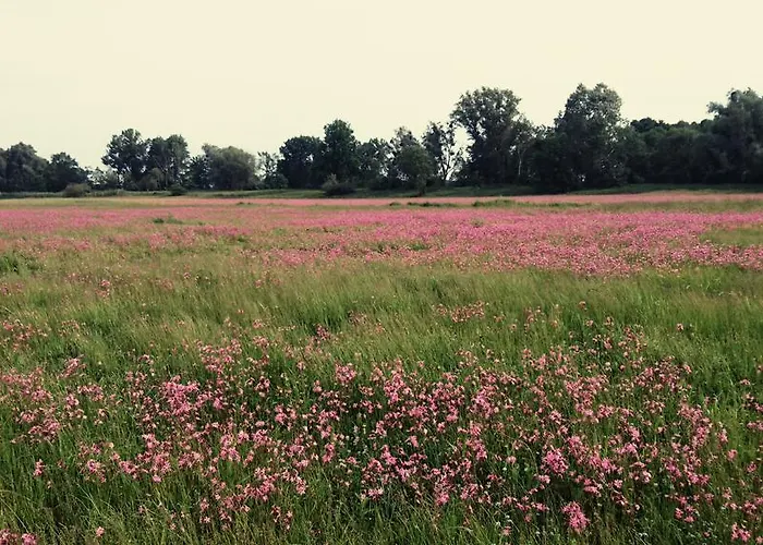 Na Plebanii Jaszkowo