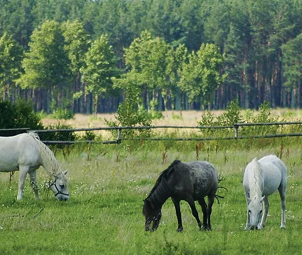 Na Plebanii Jaszkowo